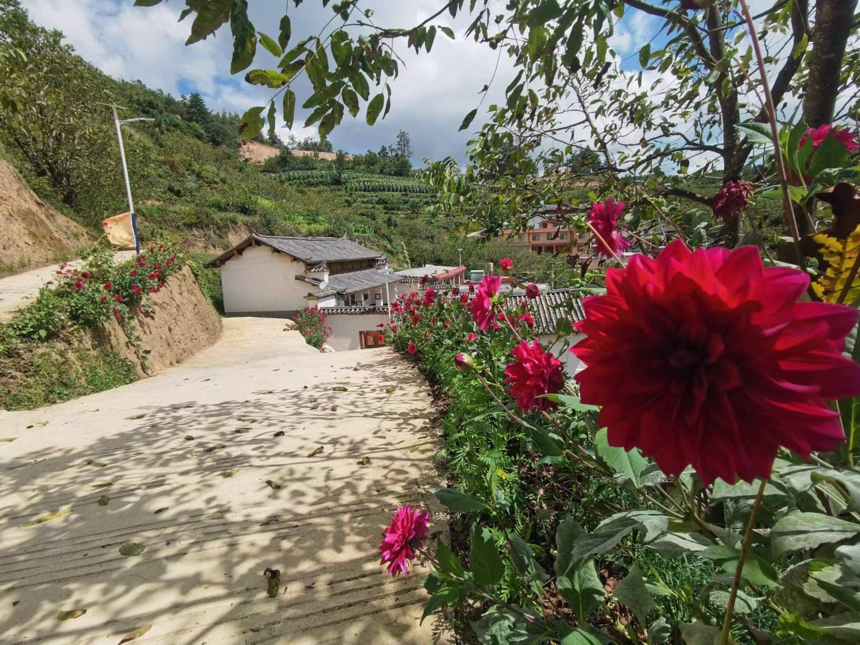 楚雄市中山鎮:推窗見景 開門見綠 開啟人居環境