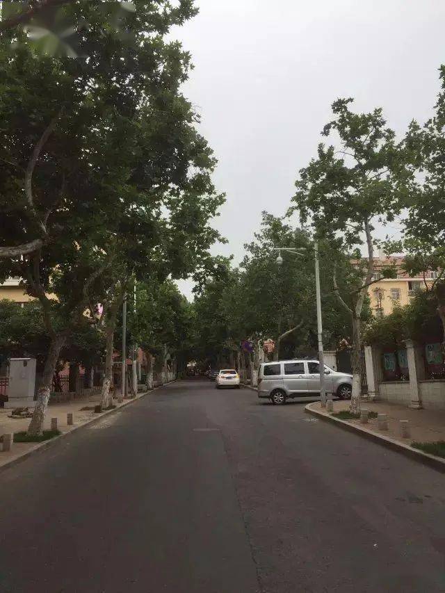 【老街印记】延安路,一条历尽岁月沧桑之路_青岛_登州路_马路