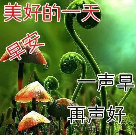 别为难自己！_如意_评价_开心
