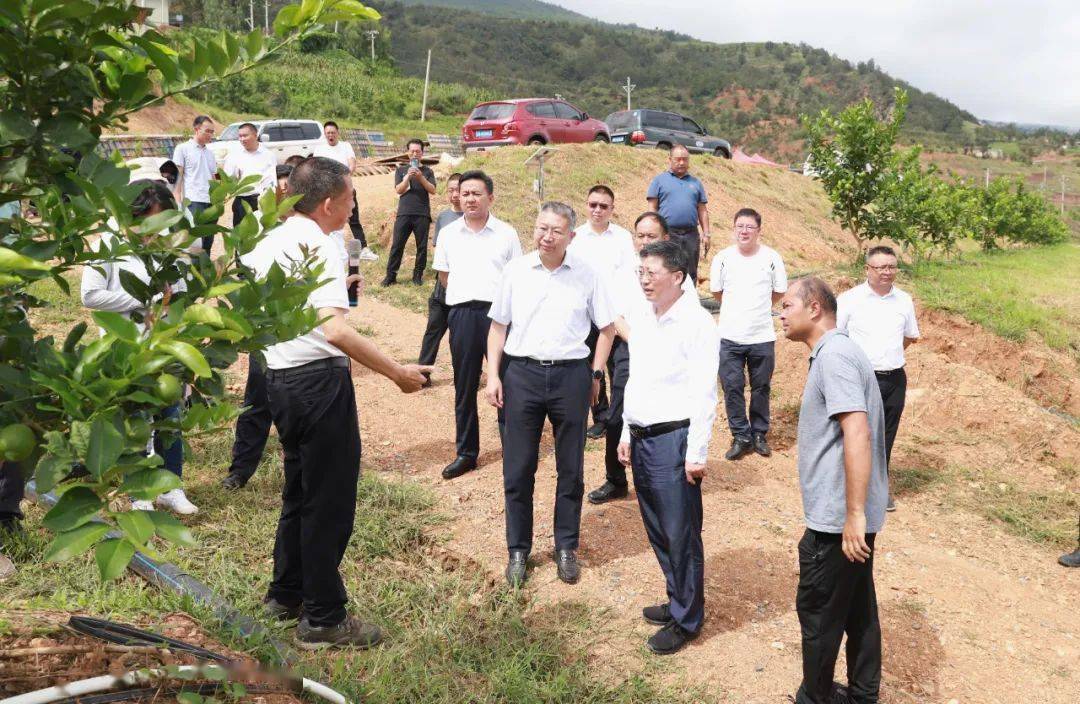 式发展|环江红率队到禄劝县 东川区 巧家县考察学习_建设_移民_会东县