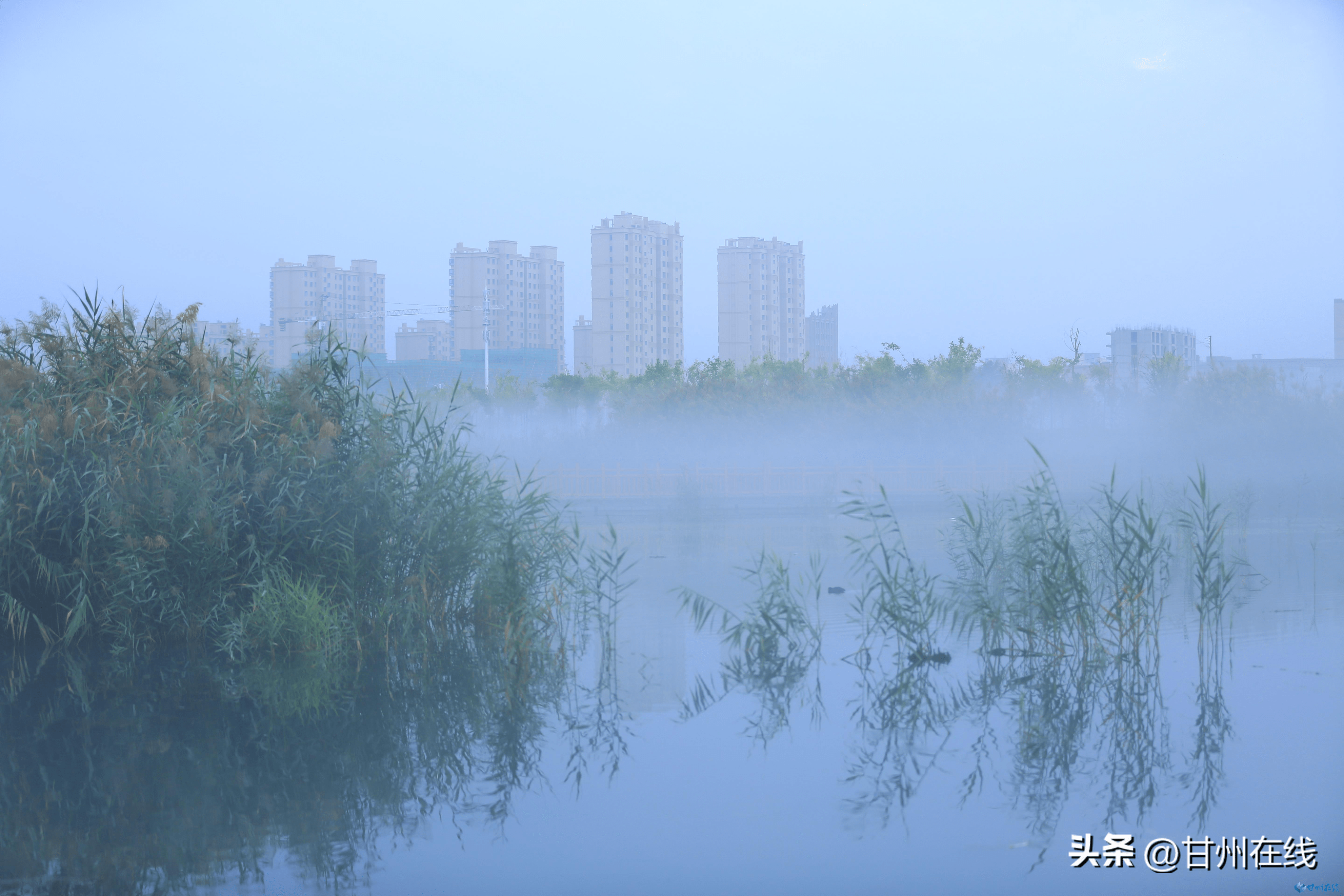 张掖甘州：湿地晨雾缭绕如仙境