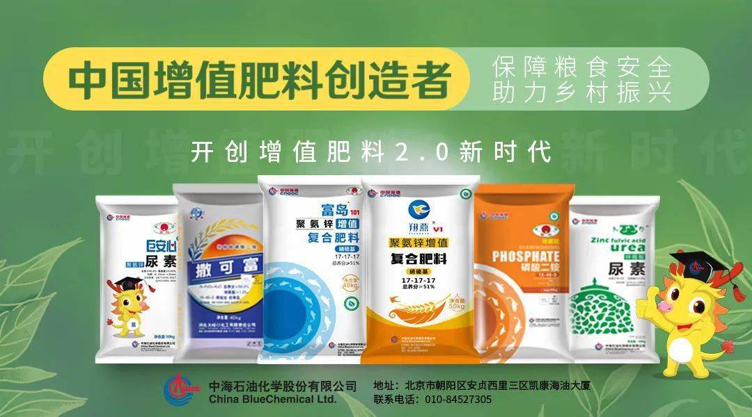 主流市场再跌100元/吨 尿素跌势何时休?_山东地区_价格_合肥
