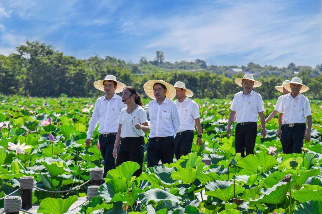 溧阳市上兴镇"山水廉音园"正式开园_建设_文化_经开区
