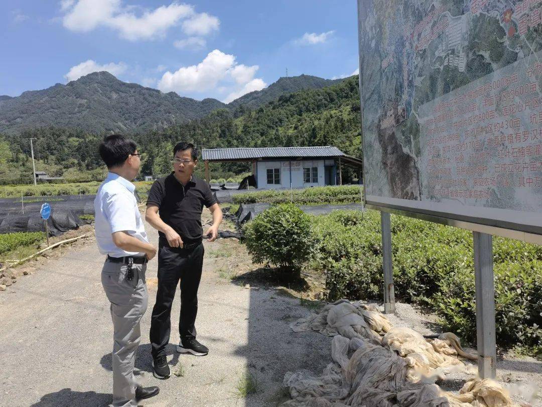 今年上半年,罗源县纪委监委印发《建立村干部"廉政档案"工作要点》,为