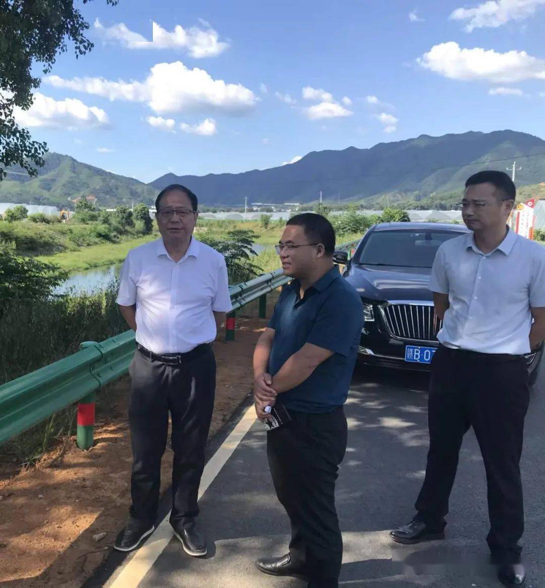 谢文才调研农村公路建设情况