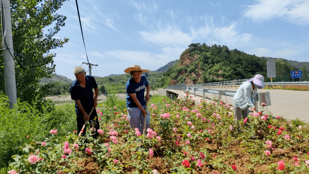 "第一书记"助力密云区庄头村建设"美丽乡村"