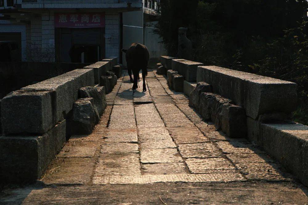 殘存在湘潭鄉野裡的石橋_小河_袁曉鳴_橋樑