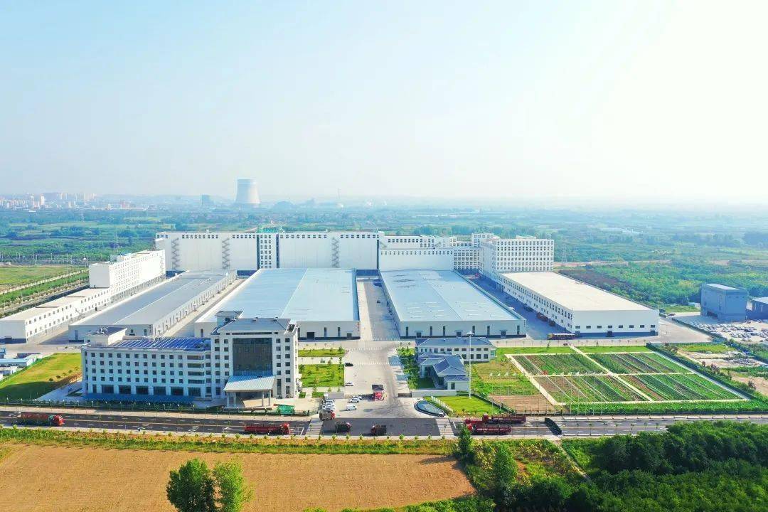 23时31分12秒 2020年成立"山东金沙河面业有限责任公司"24时00分00秒