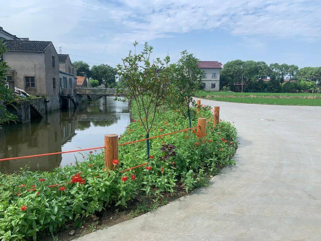 绿化_停车场_农户