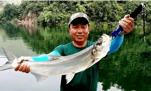 立秋後手竿釣翹嘴,只要學會這5招,莫不信,連桿上魚別提多過癮_餌料