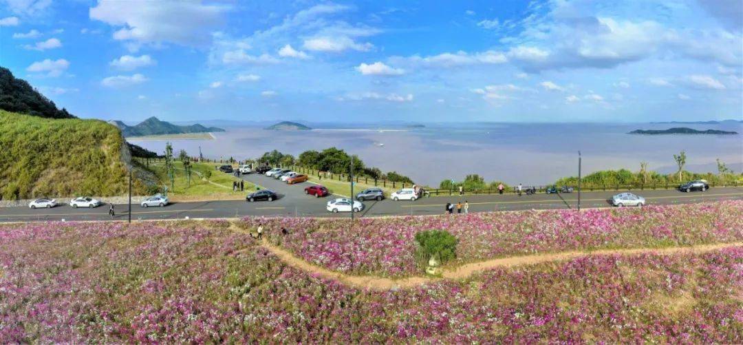 『绿山明媚 花开正好』three最美公路的观潮路段,一面是葱翠的草地,一