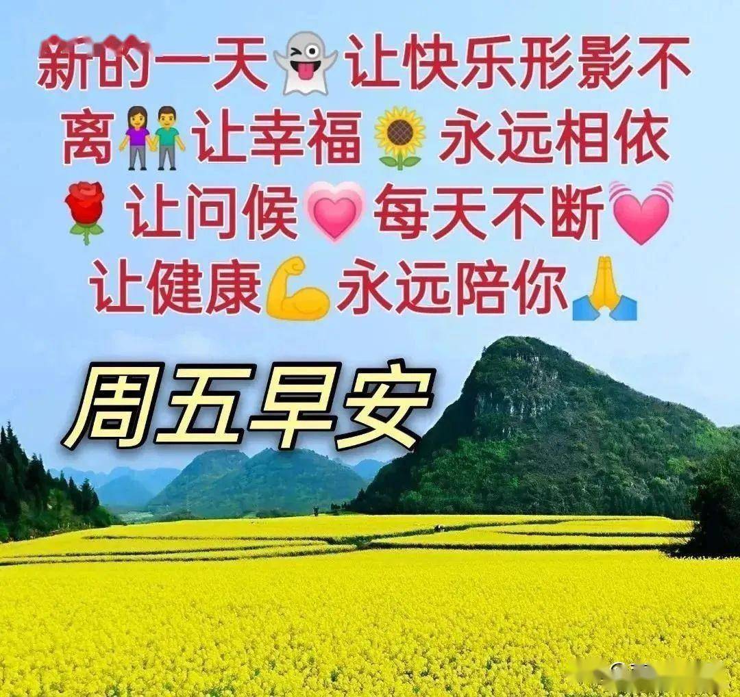 今日最新早上好表情包,一声问候,一句祝福,有你真好