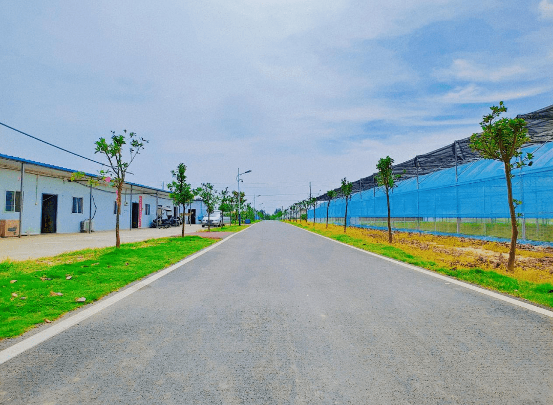 毛市镇陈赵村湖北省财政厅发布《湖北省财政厅 关于公布2020年度美丽