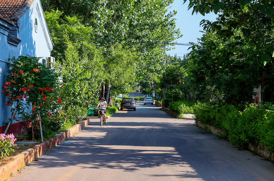 藏在森林里的"世外桃源"_赤鲁村_长子营镇_美乡村