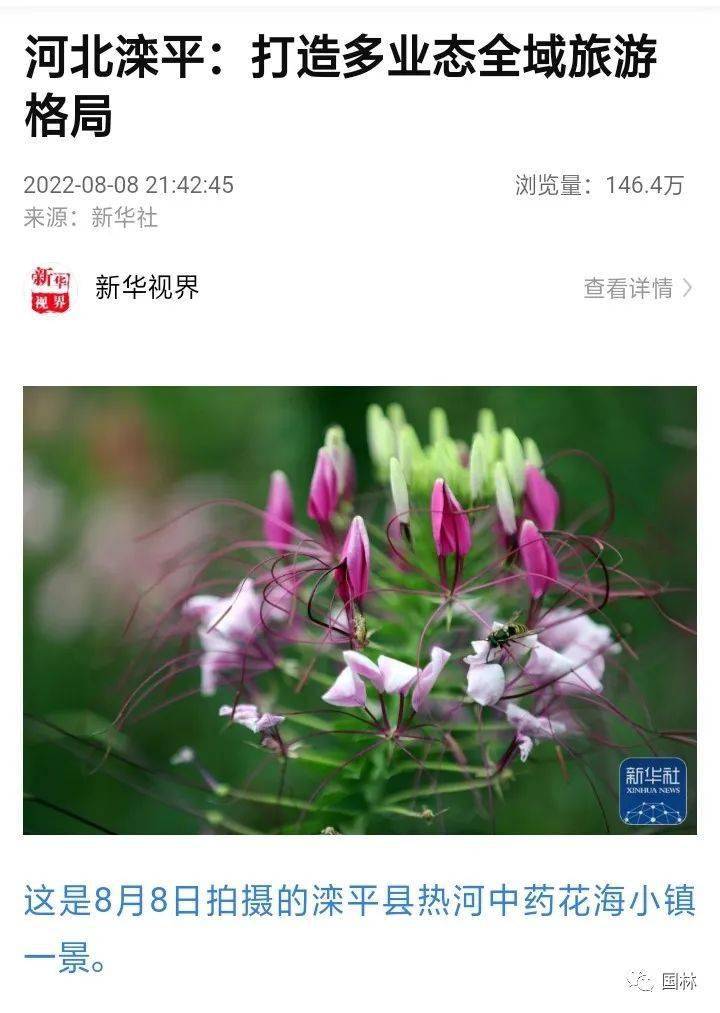 金沟屯这个景区获得新华社146 4万浏览量 花海 滦平县 小镇