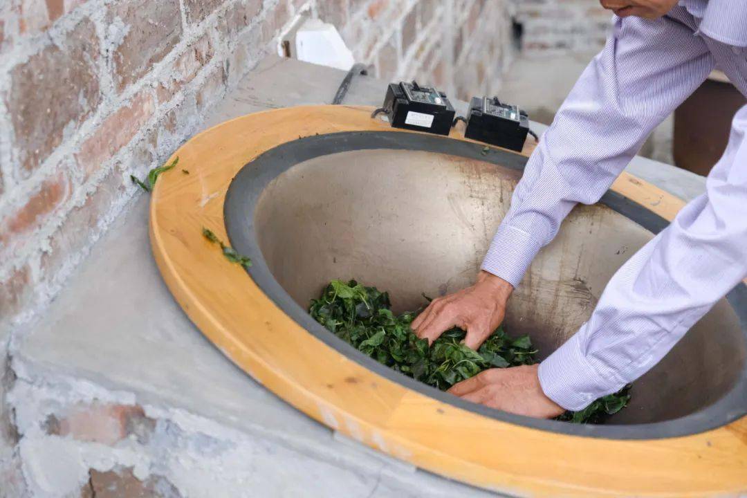 到了上世纪末,恩平当地懂得制作【簕菜茶】的师傅已经寥寥无几,能坚持