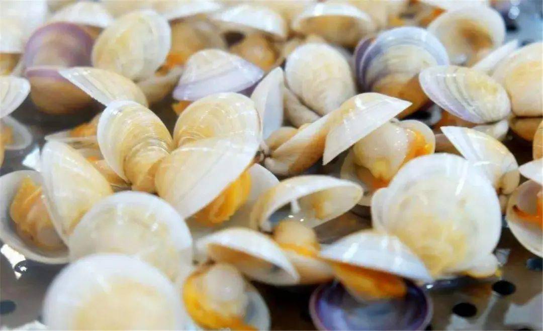 还可以到大崮石附近赶海,拾蛤螺,扒蛤蜊,掏蟹子,运气好的话还能拾一些