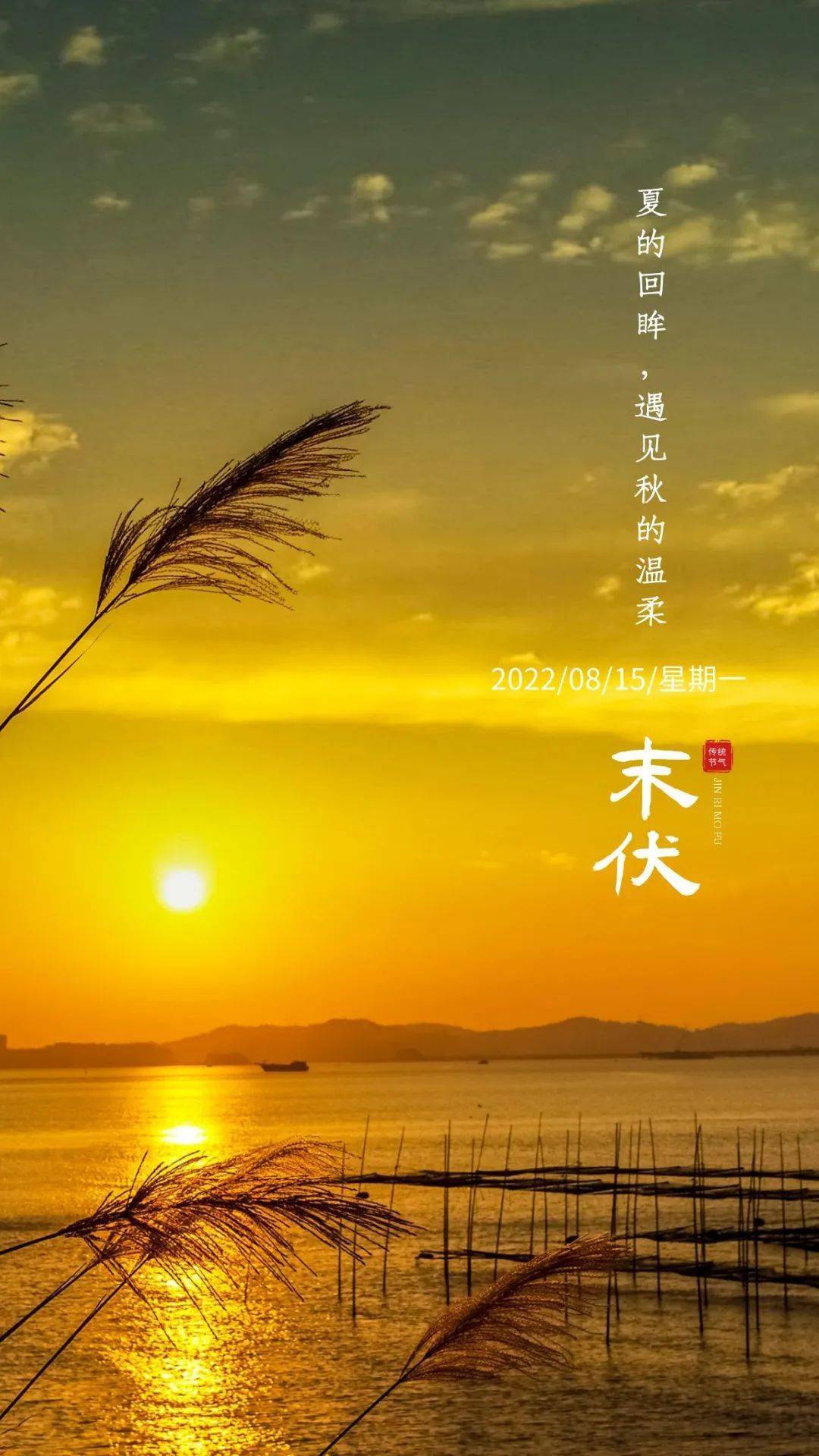 8月15日早安末伏