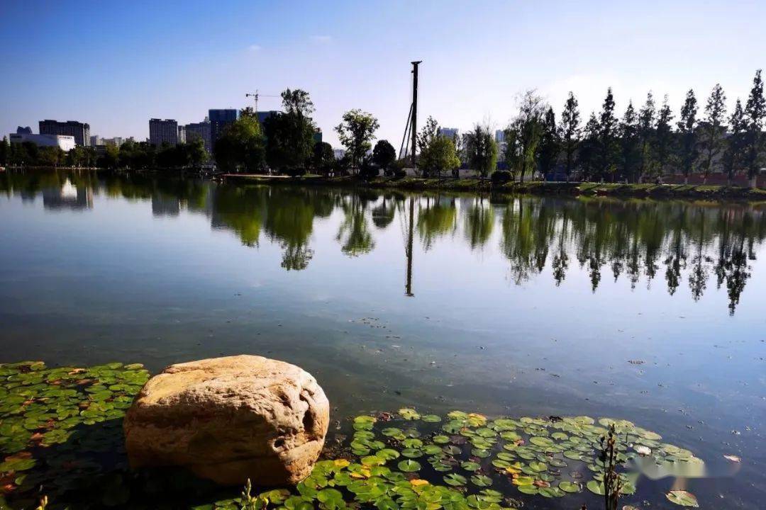 一叶知秋 乌蒙水乡公园美景如画_昭阳区_田芳_城市