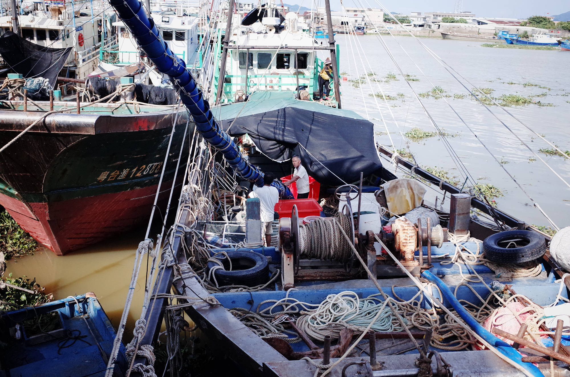 开渔啦！台山两千余艘渔船扬帆出海，一大波海鲜来了！