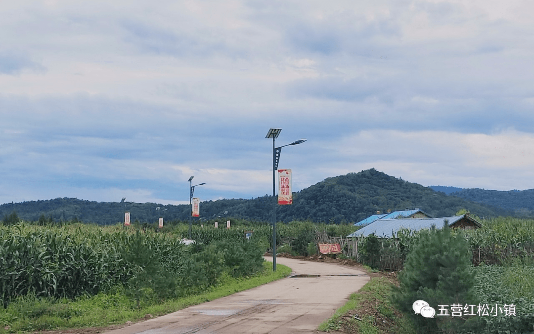 乡村振兴 | 丰林县五营镇打造美丽宜居乡村助力乡村振兴_跃进村_文明