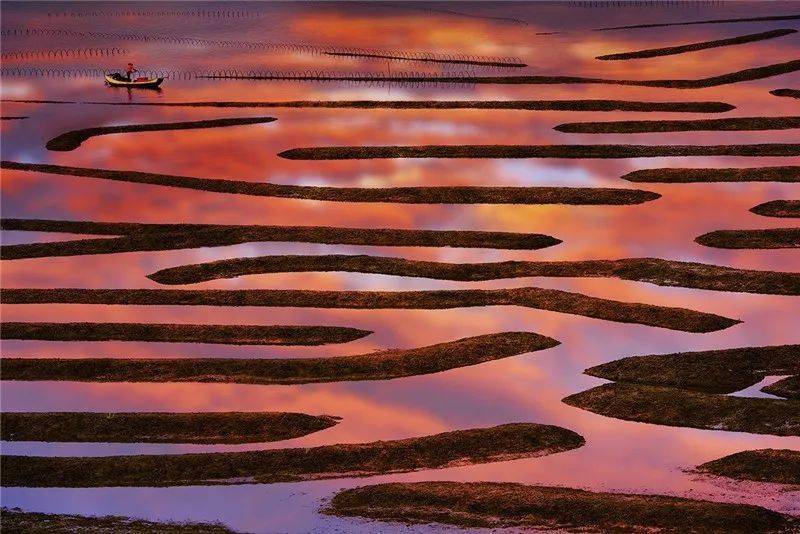 【霞浦紫菜季】10.09-10.