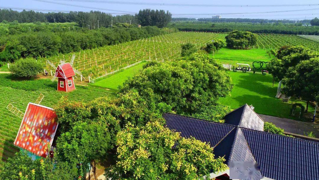 采育镇_大兴区_园区