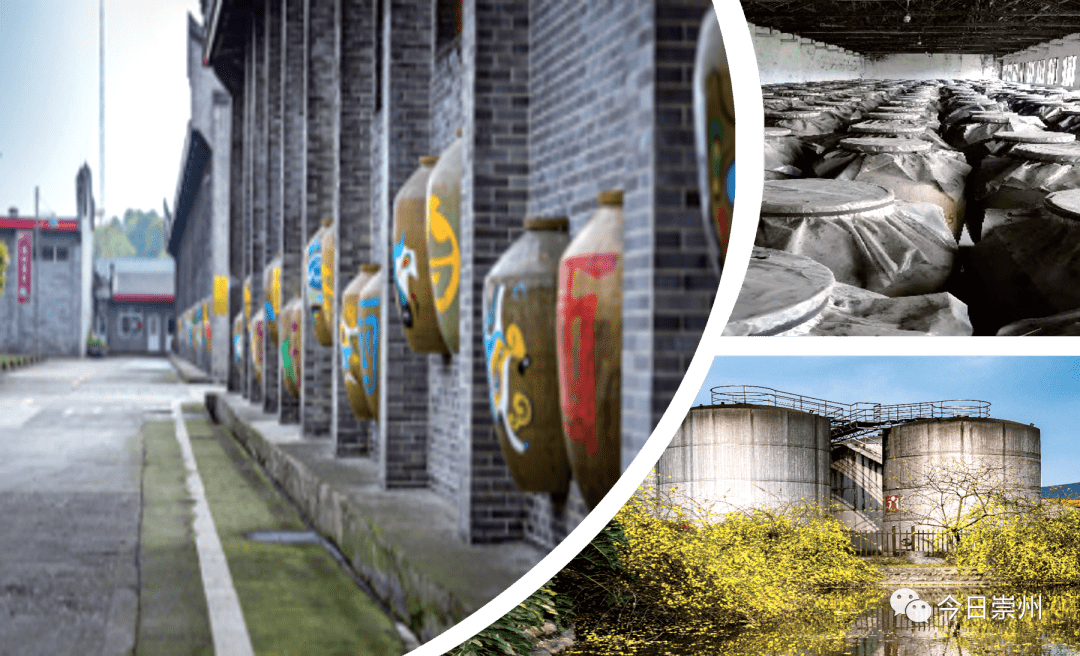 沿道廖路规划以川酒文化为主导的 "田园 酒"川酒高质量绿色发展产业带