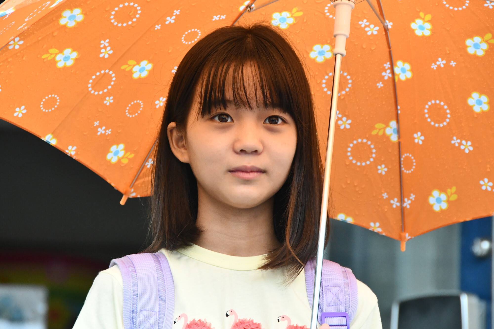 悬疑暗黑日剧:雨中消失的向日葵,11岁女孩失踪案背后恶意汹涌_剧情