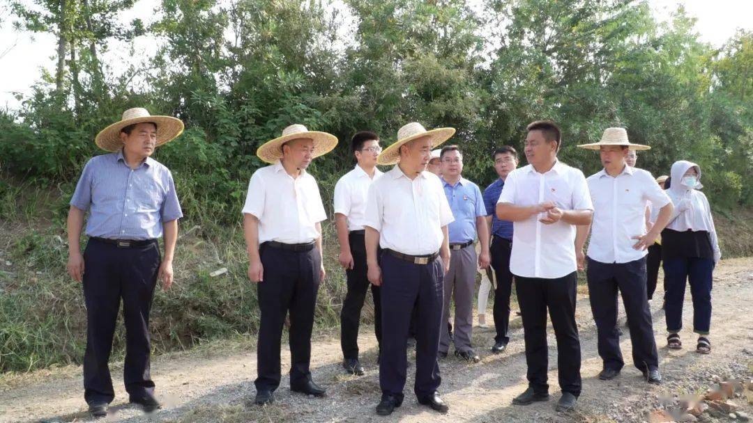 刘富国到新区开展下基层察民情解民忧暖民心实践活动_双井村_服务