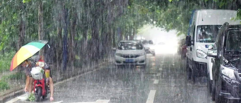 局部暴雨或大暴雨！海陆大风双预警！山东大范围降雨即将来袭！ 大部地区 天气 济宁