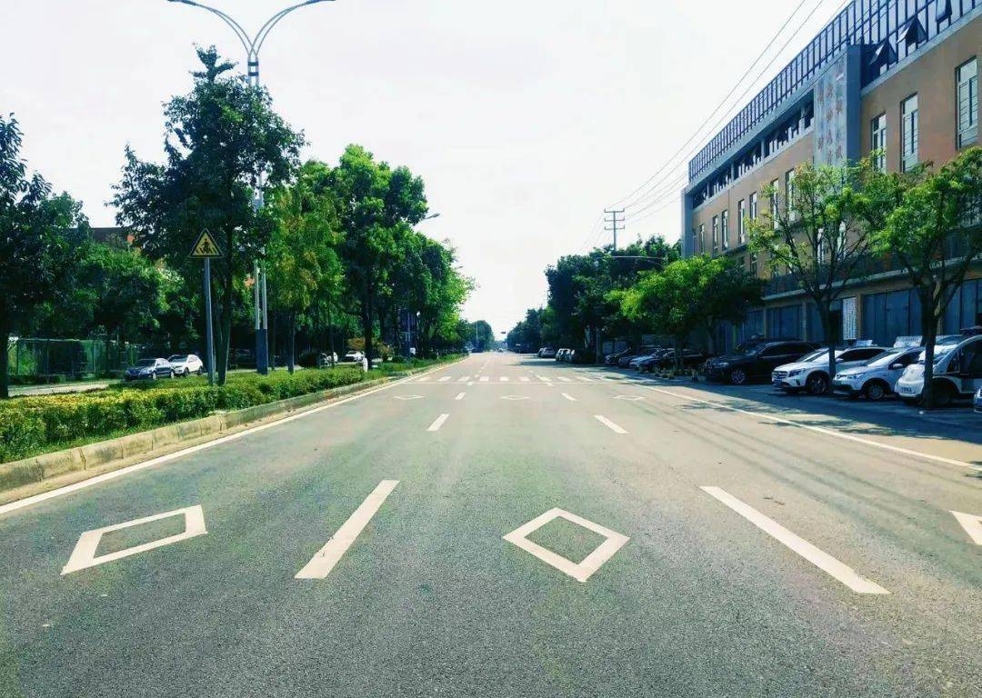 青白江公园大道图片
