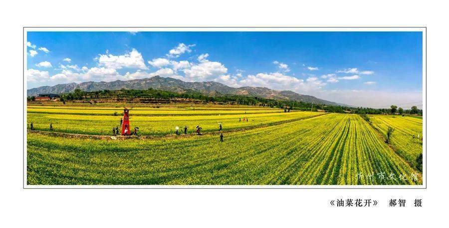 2022年"美丽山西,聚焦太忻"摄影展线上展览(三)_太原市_忻州市_作品