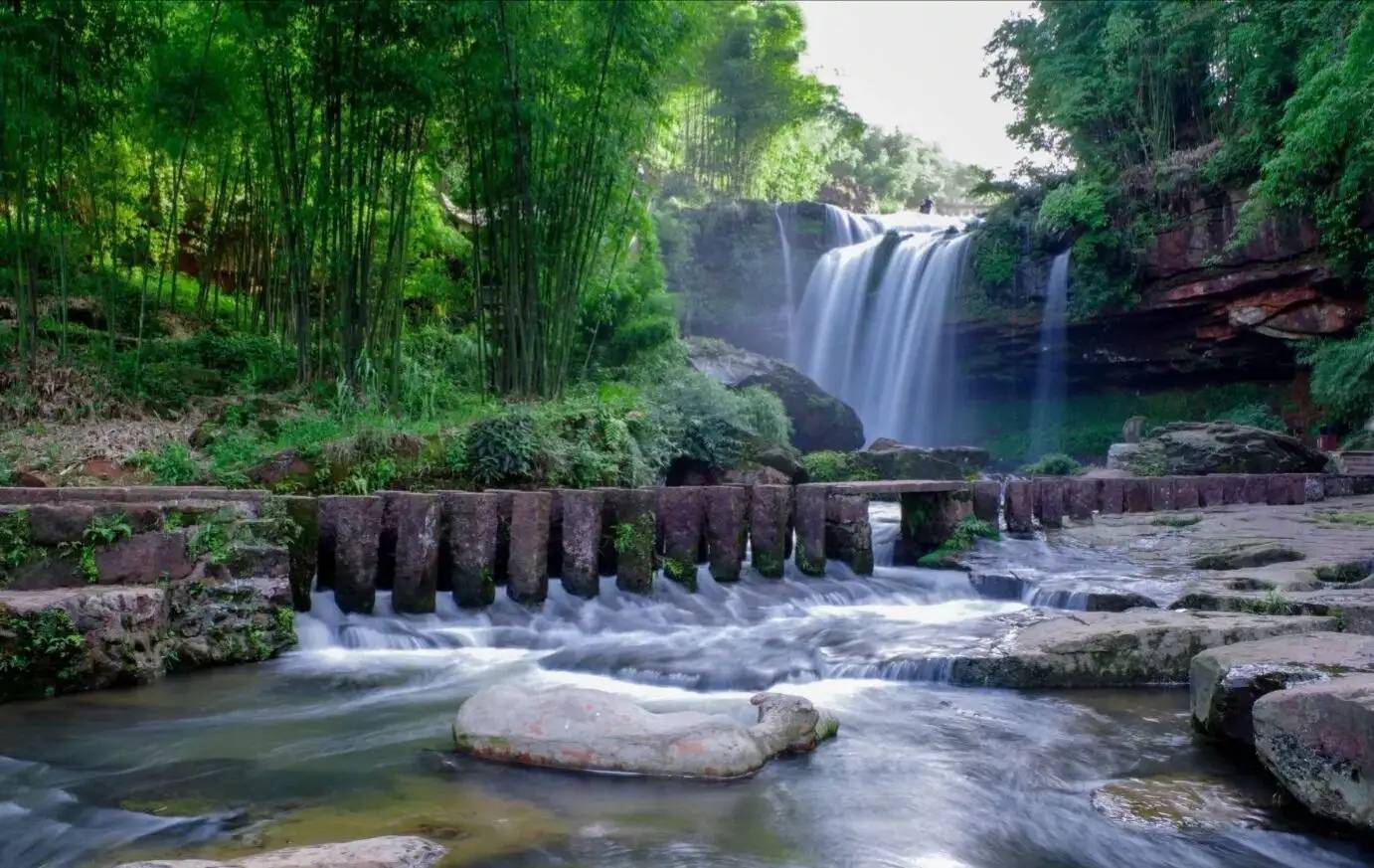 四川适合避暑的景点，是世界上集中面积第一大的天然竹林景区