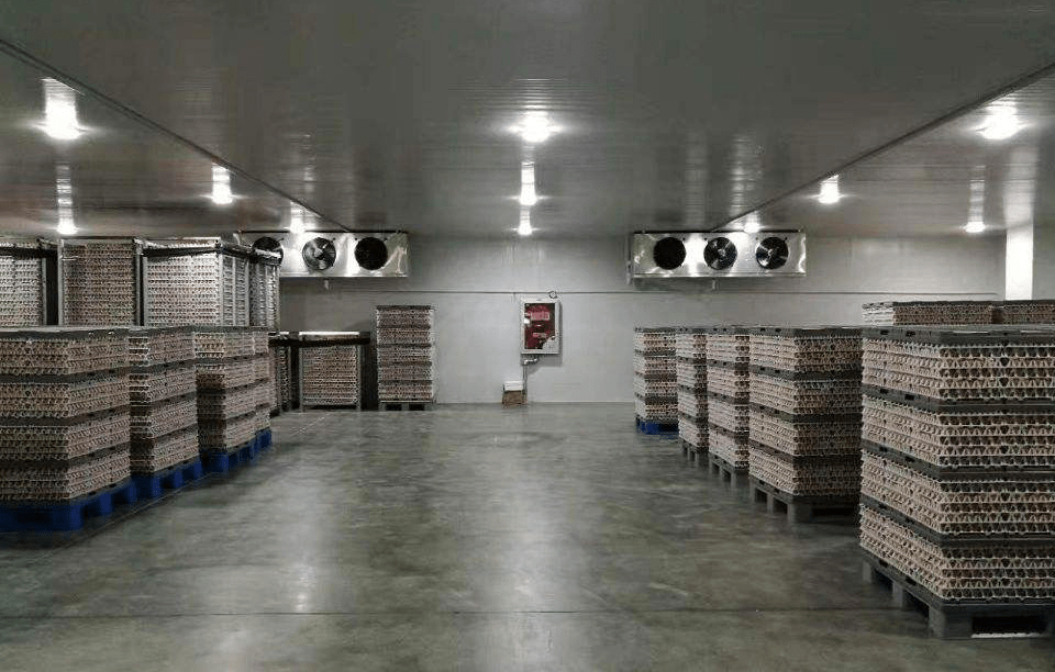 6000平食品低温冷冻库改建 -18℃冻库建造设计_施工_制冷_材料