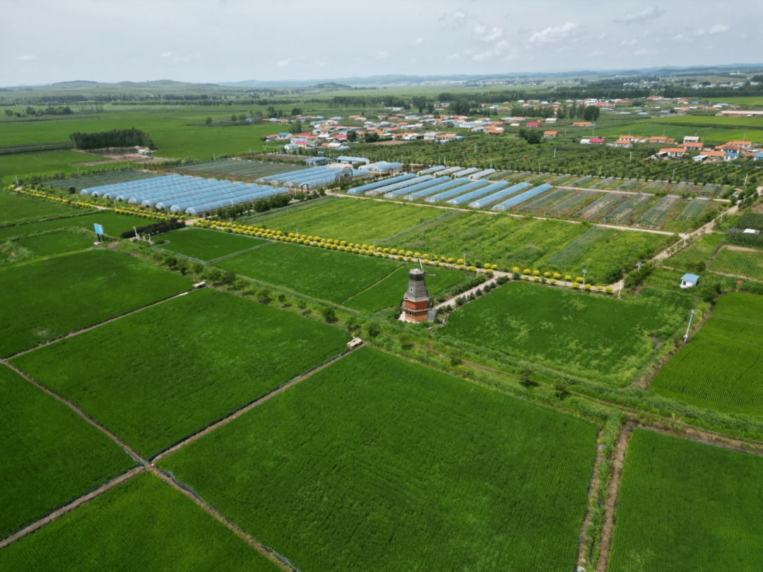 密山市高端网站建设_(密山市高端网站建设项目招标)