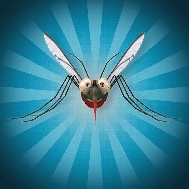 如何成为"蚊子侠"?_健健_袜子_温度