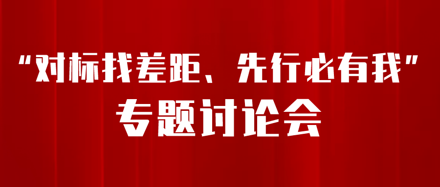 市商务局党组召开"对标找差距,先行必有我"专题讨论会_工作_行动_张延