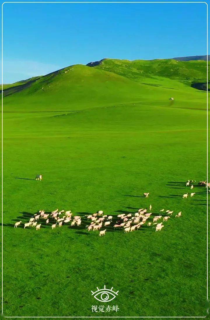 美图丨共游巴林草原_公众_巴林右旗_幸福之路苏木
