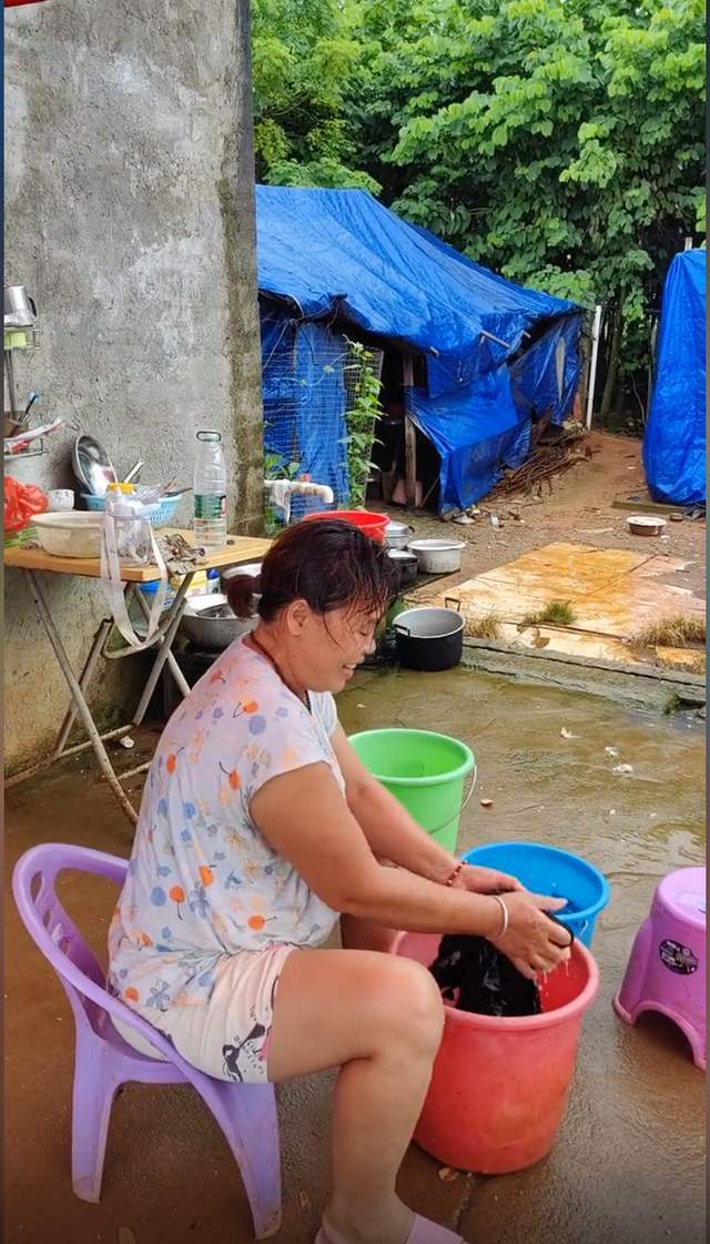 全红婵父母种果树养鸡鸭,母亲天热手搓衣服满头大汗_全文_妈妈_父亲