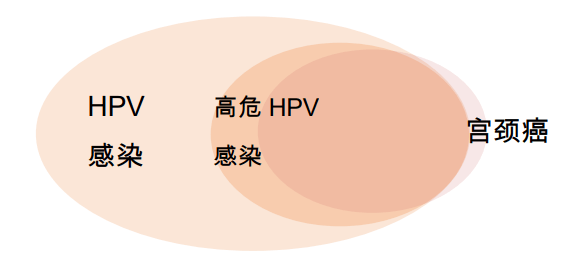 醫生說:女人身上如果長這些東西,就是宮頸癌發出的信號!