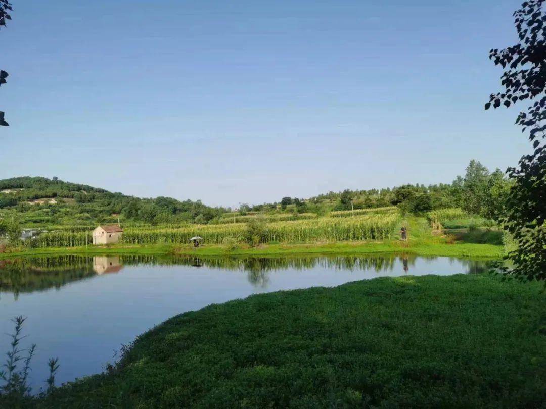 山水戴庄,生态福地一一邳州市戴庄镇初秋掠影 | 张可春 摄影_武原