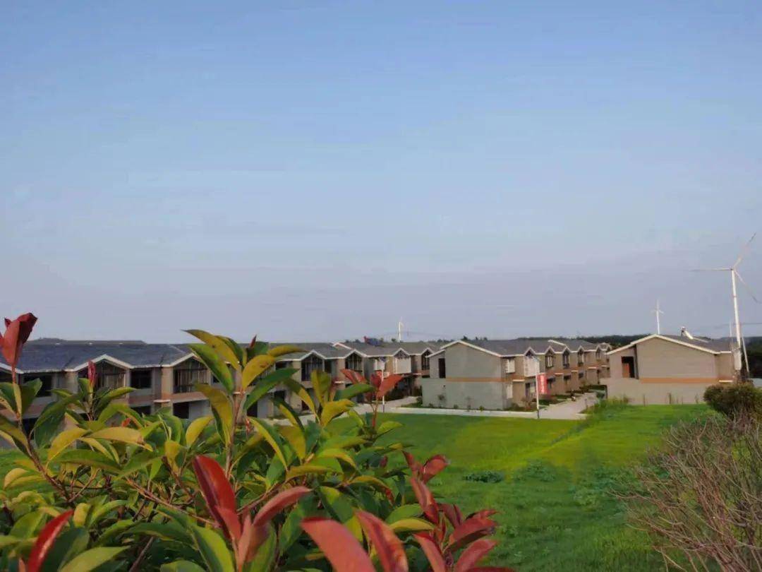 山水戴庄,生态福地一一邳州市戴庄镇初秋掠影 | 张可春 摄影_武原