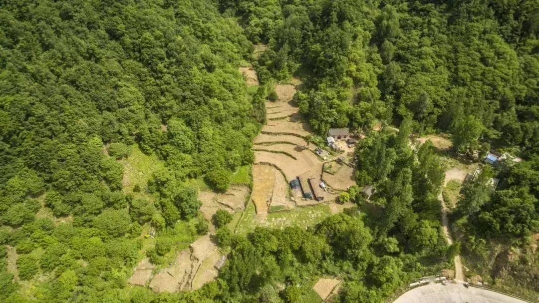 嵩县版"向往的生活",就藏在大山深处!_油路_白鹰河_山水