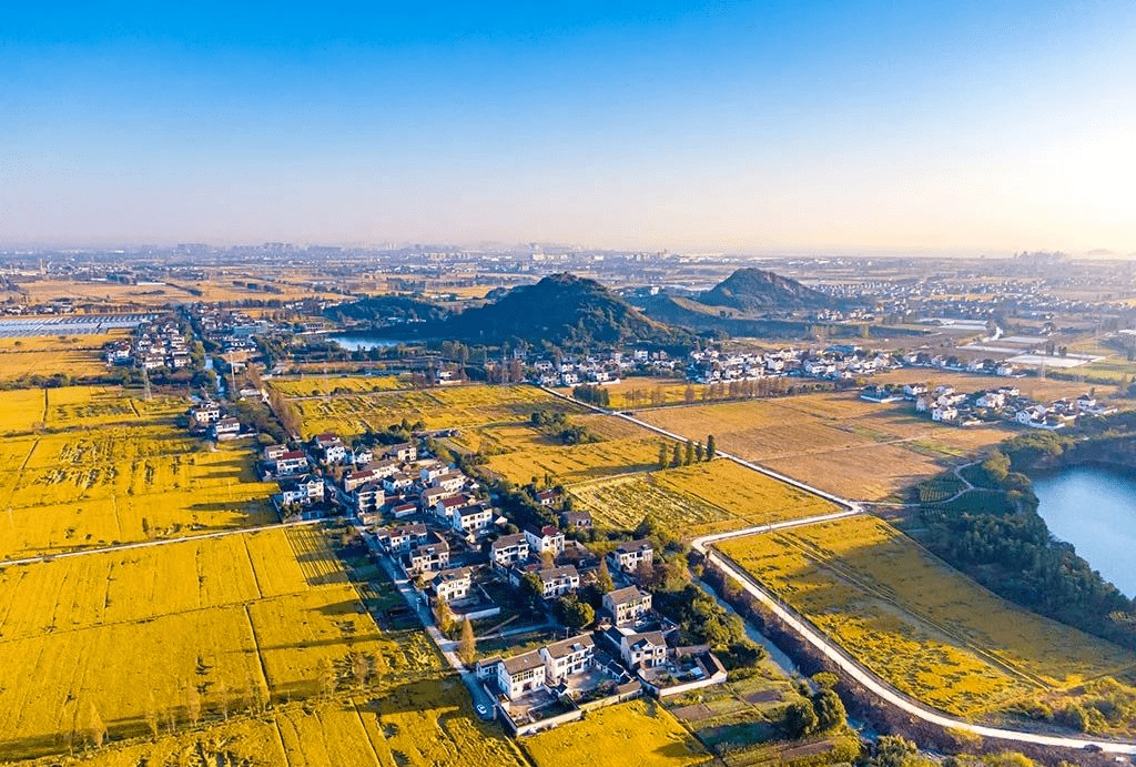 海盐这个村排名全市第一!是你们村吗?_金星村_景区_乡村