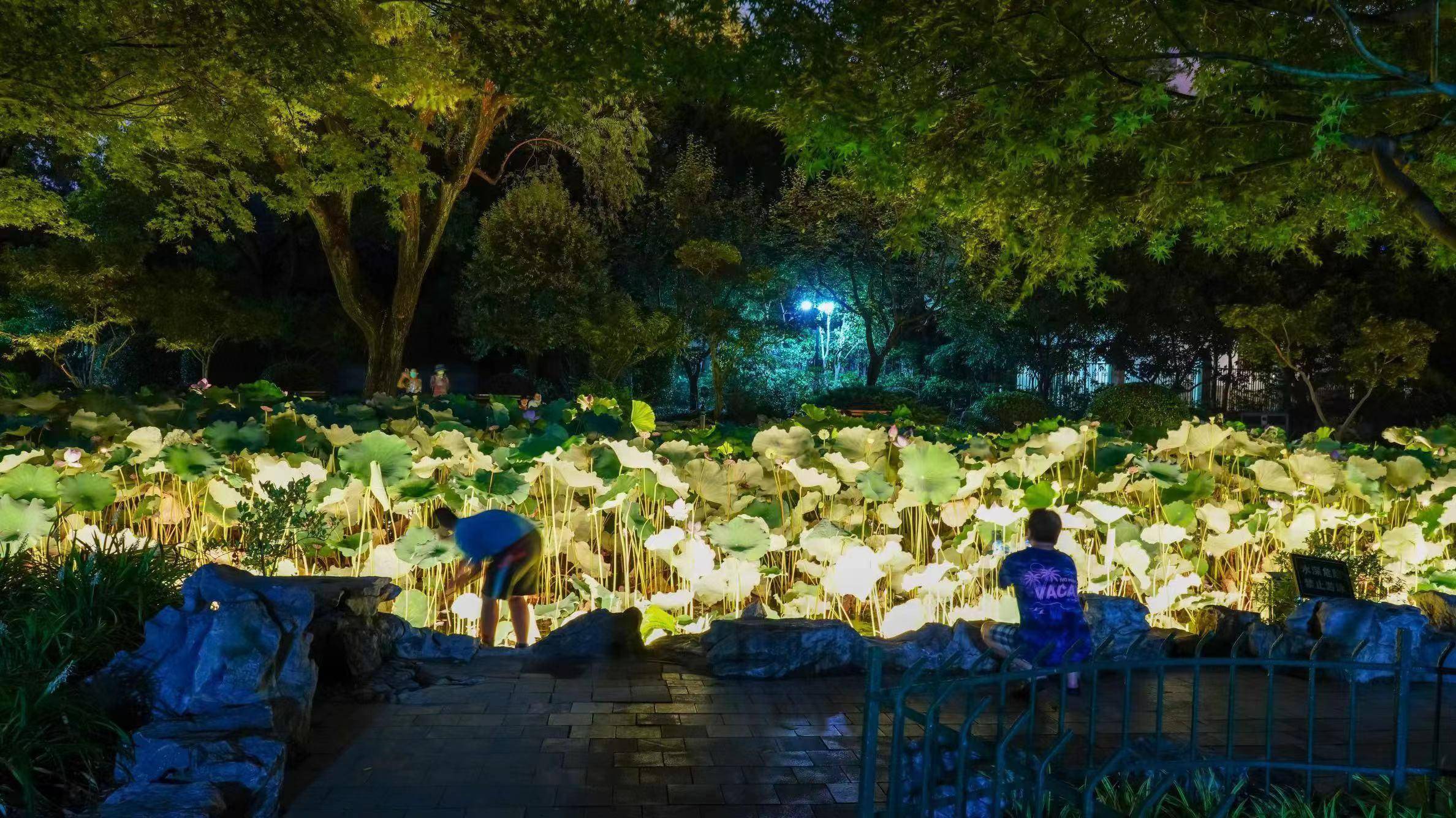 可拍照打卡可探索生物奥秘,"夜公园"成"幸福乐园"_东安_宋伟民_时间
