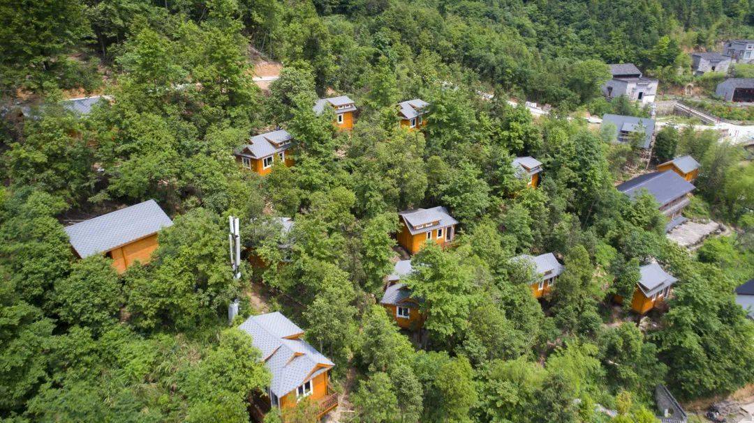 安徽人游安徽 | 康养新体验,来石台慢庄小镇享受青山绿水中的慢生活
