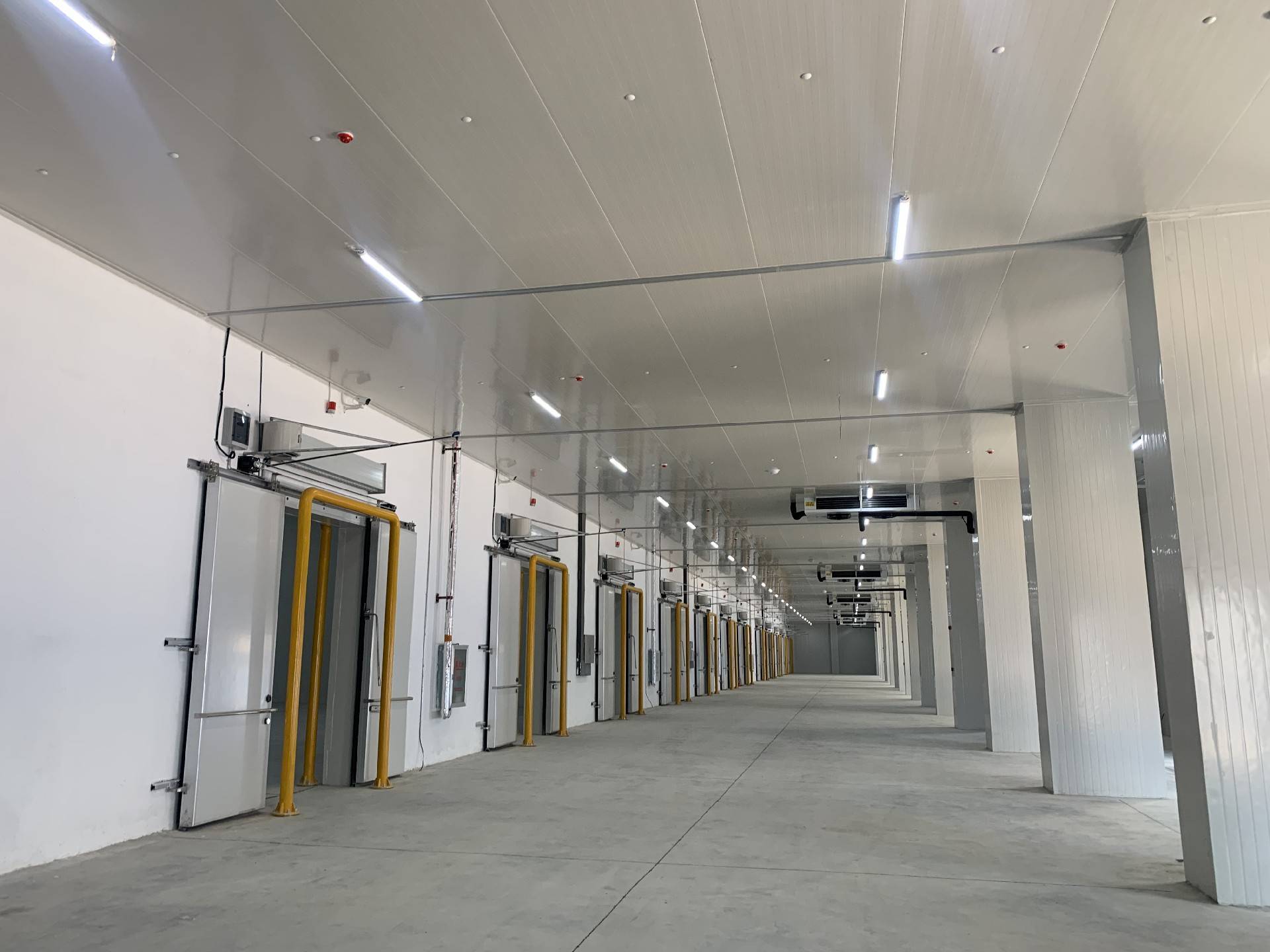 武汉两万平变温冷库出租_配套_需求_货架