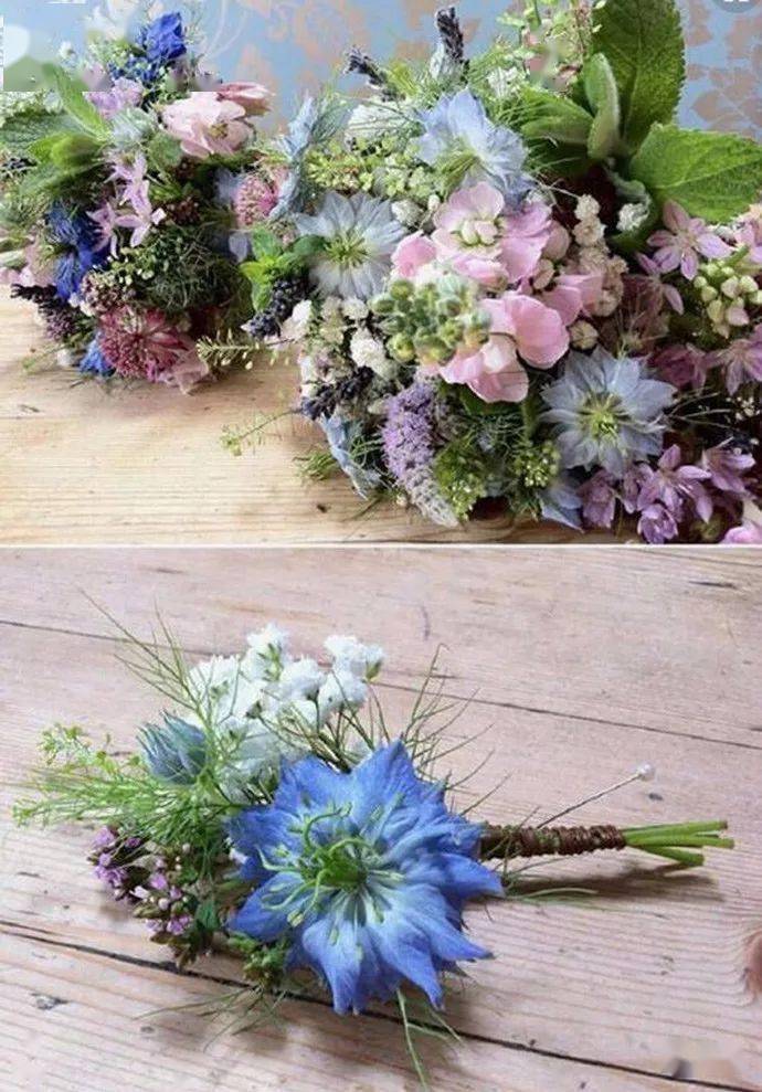 完美花束不可少的7款超高颜值配草,你知道吗?_白色_绿色_雪柳