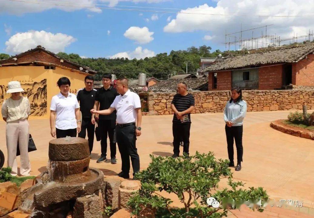 建水县委常委,组织部部长许洁琼到岔科镇调研乡村振兴工作,镇党委书记